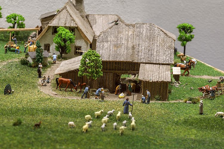 56 Friseur Haar-Maier