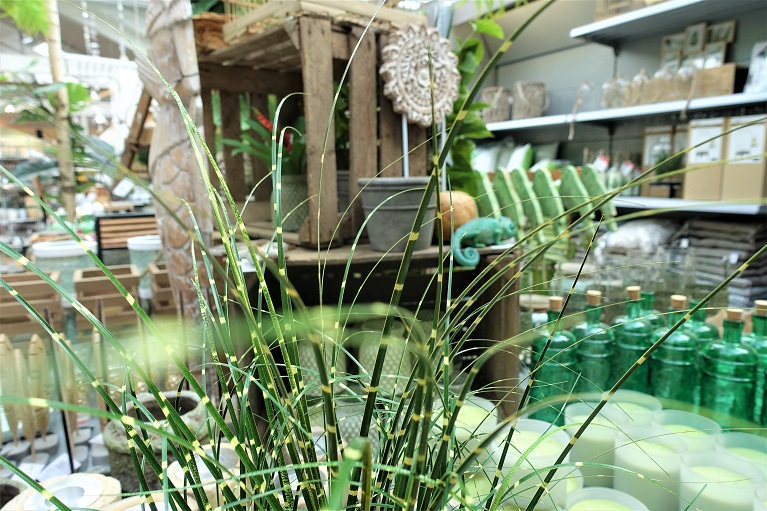Bellandris Haubensak Gartencenter Einkaufen in Regensburg